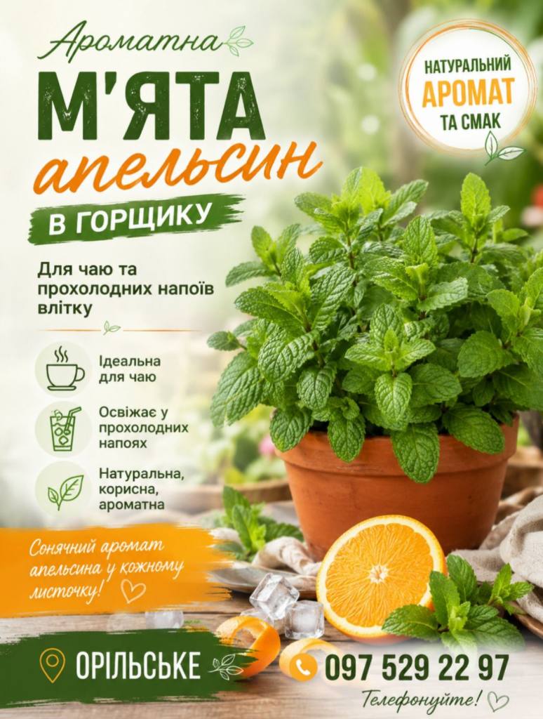 М'ята апельсин