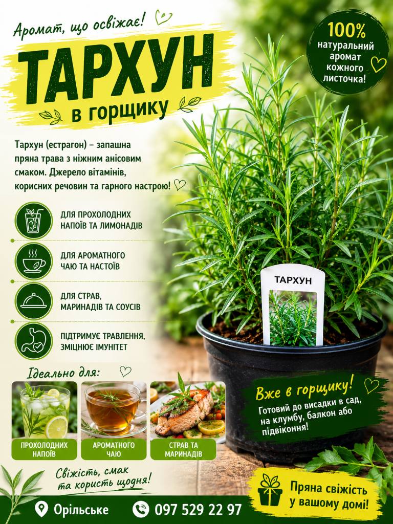 Тархун